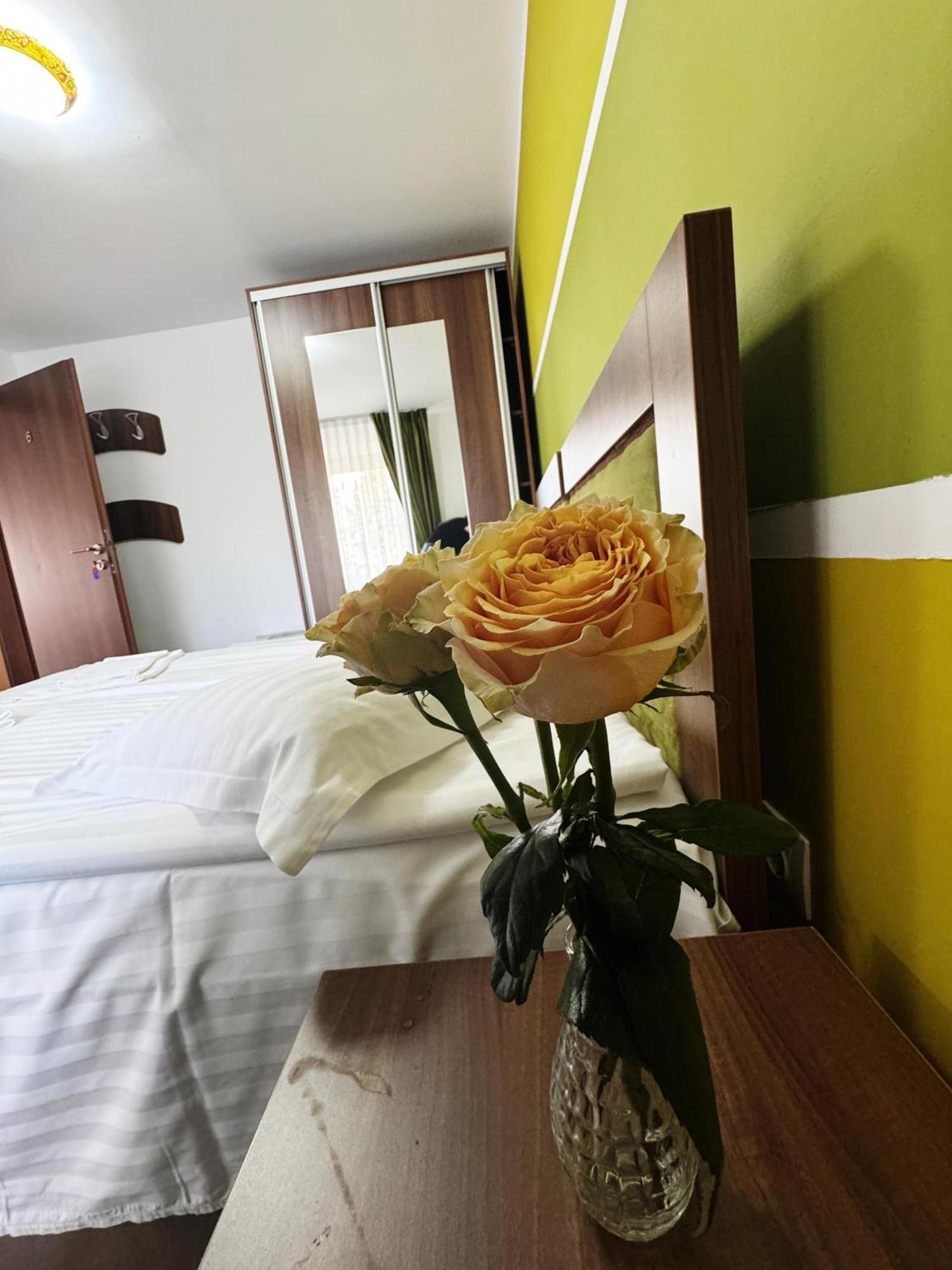 Carpathian Newstar Hotel Sibiu Exterior photo